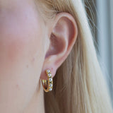 Gilded Gold Earrings