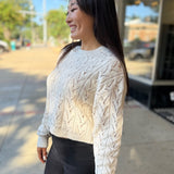 Cream Elegant Long-Sleeve Flocked Mesh Top