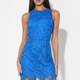 Royal Blue Mackenzie Open Back Scallop Lace Mini Dress
