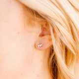 Screwback Stud Earrings - Kate Candy Gold