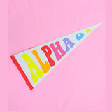 Sorority Rainbow Pennant Flag