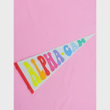 Sorority Rainbow Pennant Flag