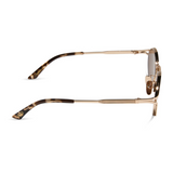 Limoncello Gold Brown Sunglasses