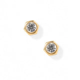 Screwback Stud Earrings - Addison Clear Gold