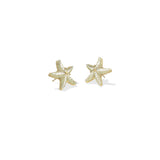 Parker Starfish Stud Earrings