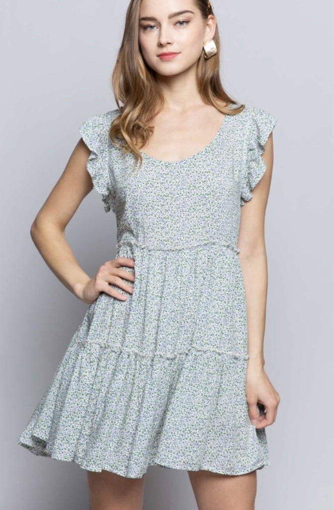 Picnic in the Park Dress