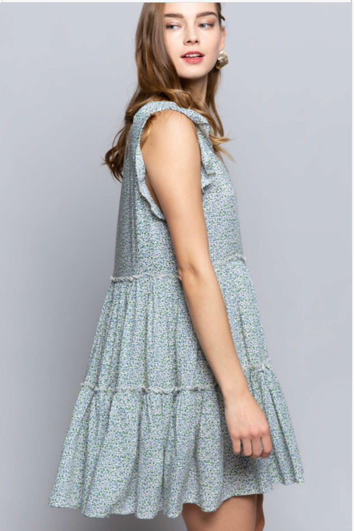 Picnic in the Park Dress